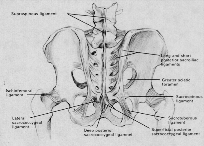 Sacroiliac Joint Pain FAQs Spine Surgery Health Information Hong 