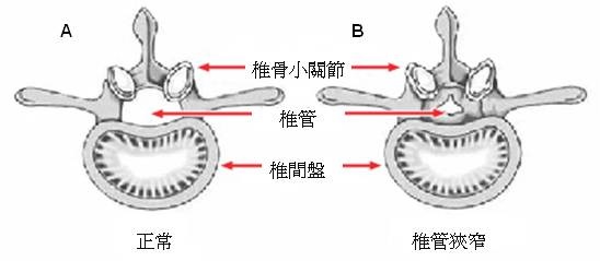 Fig 1_Eng.jpg