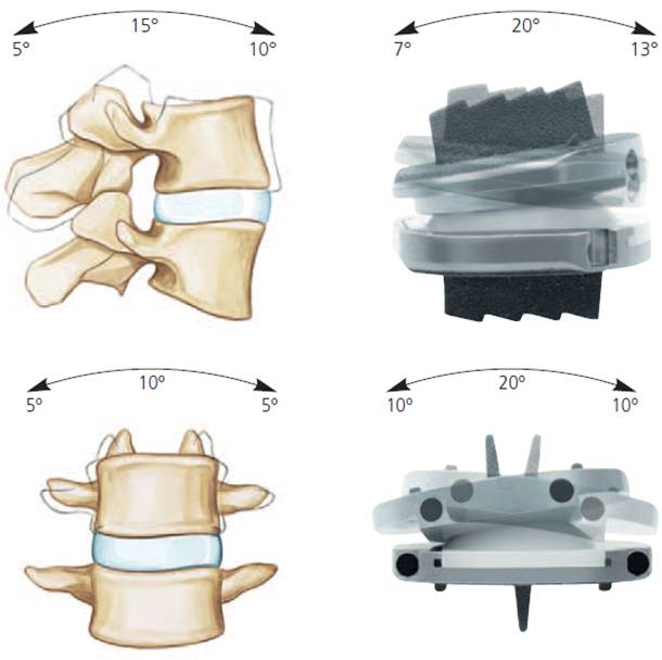 Fig 2b.jpg