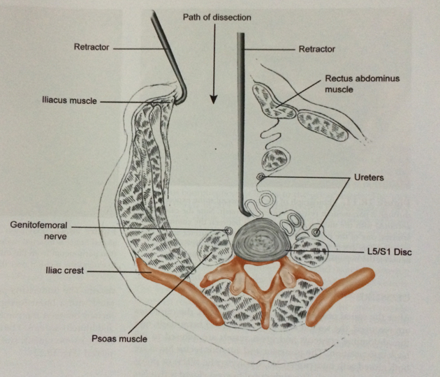 Fig 3.jpg