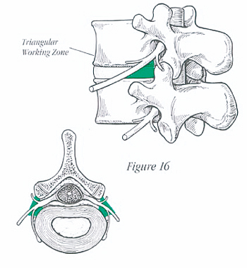 fig4.jpg